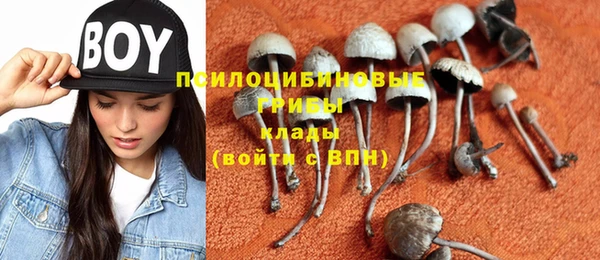 MESCALINE Белокуриха