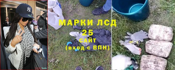 spice Беломорск