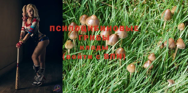 MESCALINE Белокуриха