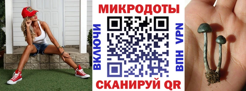 цены наркотик Малая Вишера Псилоцибиновые грибы GOLDEN TEACHER